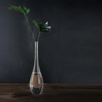 日式禅意透明玻璃梅瓶干花小口花插花瓶仿古花瓶茶桌摆件简约花器