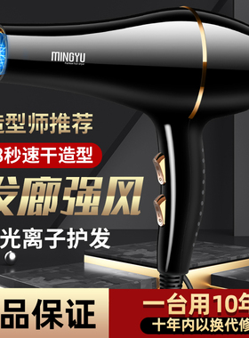 电吹风机家用9000大功率发廊6000负离子护发风筒吹头发女男士专用