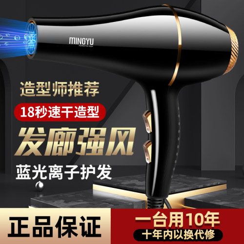 发型师御用产品发廊推荐负离子