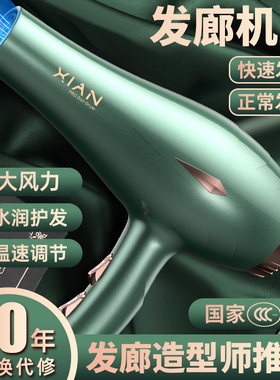 德国电吹风机大风力家用速干发廊负离子护发2200w冷热理发店风筒