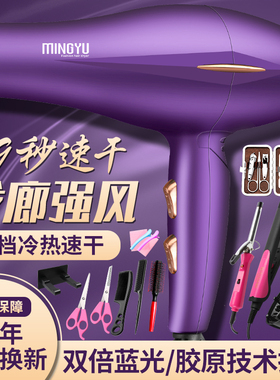 德国吹风机家用大风力