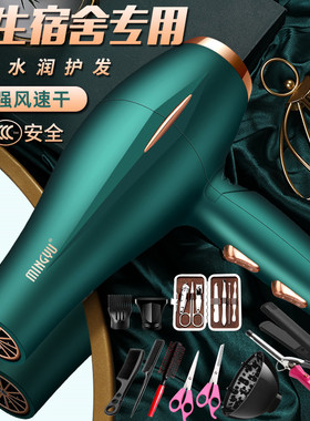 德国电吹风机宿舍用800w学生500w小功率低300w家用负离子护发风筒