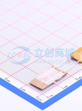 自恢复保险丝 30R160UPR 插件 30V 1.6A 原装正品 电子元器件配单