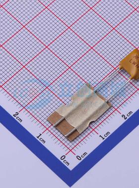 自恢复保险丝 RGEF400-2 插件 16V 4A 原装正品 电子元器件配单