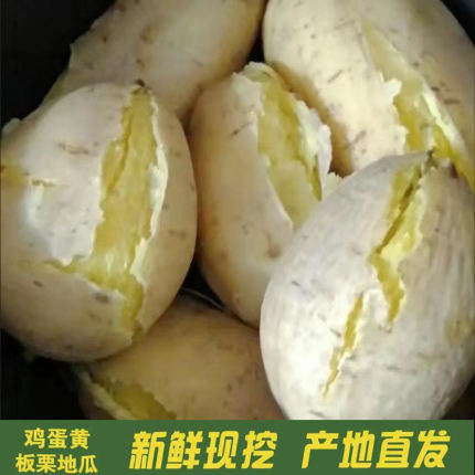 广东潮汕农家新鲜自种白皮黄肉番薯干粉糯板栗红薯香甜地瓜3斤5斤