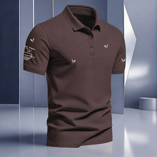 美式夏季新款男士POLO衫翻领短袖上衣刺绣百搭休闲潮流半袖衫上衣