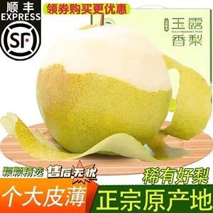 隰县玉露香梨山西特产精品顺丰包邮产地直发脆甜多汁新鲜梨子礼盒