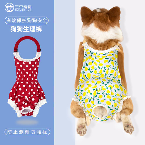 升级新款狗狗生理裤防漏防掉