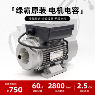 16MBG洗车机清洗机专用电机220V2500W配件清洗神器电动机 绿霸LT