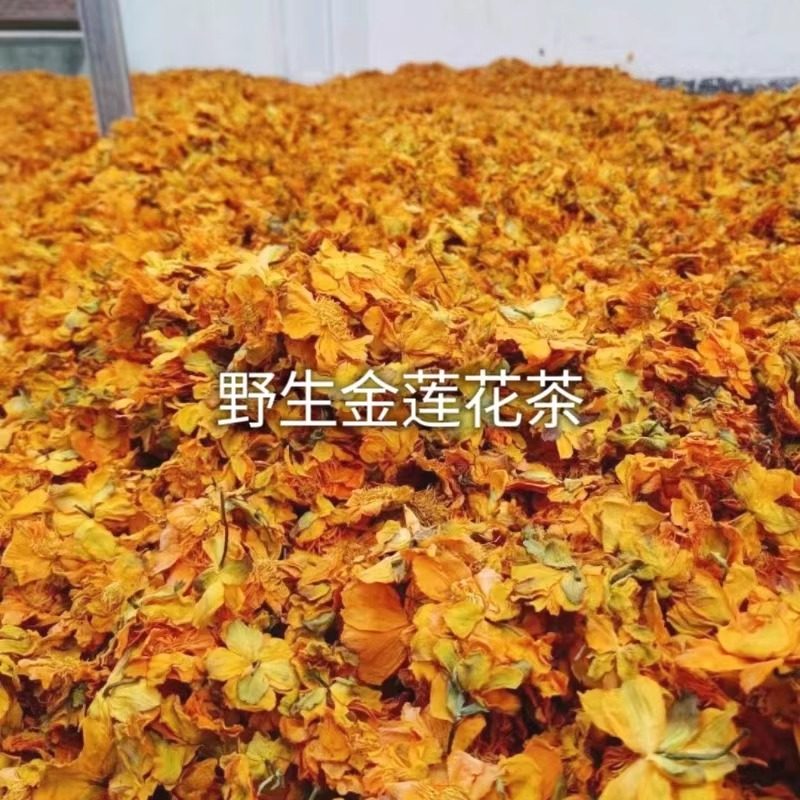 野生金莲花茶干花男女养生营养保健茶叶健康中药材茶花内蒙古新货