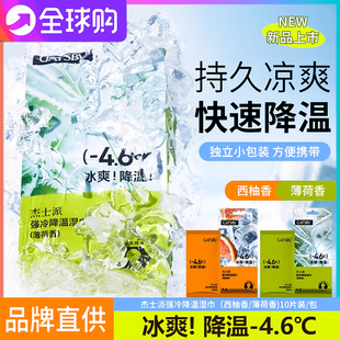 杰士派降温冰感洁面湿纸巾10片运动清爽冰凉擦脸身体止汗湿巾