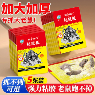 20张老鼠粘强力粘鼠板抓大老鼠贴夹扑捉灭鼠神器正品 家用捕鼠神器
