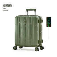 【Bird Green】 расширенное издание