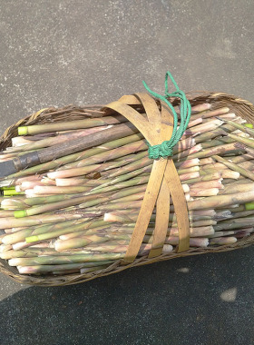 新鲜小竹笋现摘现发湖南野生春笋清水笋手剥笋嫩笋子带壳包邮