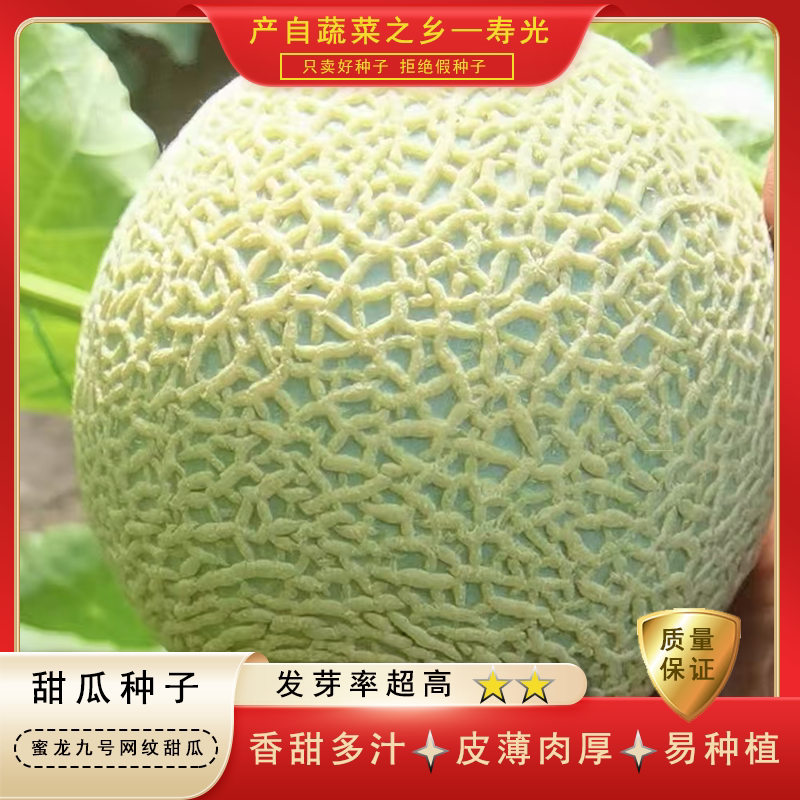 超甜进口西瓜种子甜瓜种子薄皮爽脆多汁香甜四季高产水果蔬菜种籽