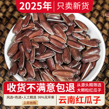25年云南红皮瓜子新货大颗粒生的原味水果甜葵花籽原味非种子干货