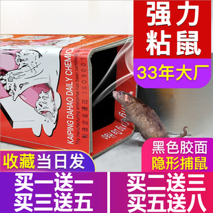粘老鼠的强力胶家用粘鼠板引诱剂占老鼠贴胶强力防老鼠爬水管神器