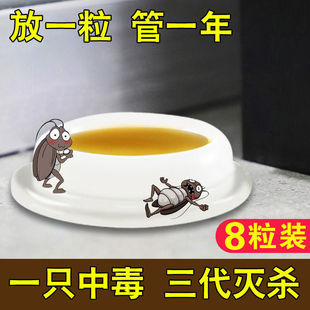杀蟑胶饵家用针剂管德国大小蠊专杀一窝端饭店厨房灭蟑螂药