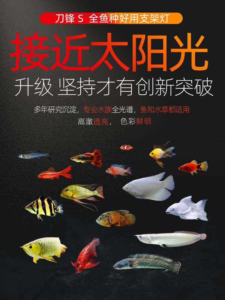 吉灯印刀s鱼缸照明灯超薄高澈le灯防水白潜d蓝全水光锋谱水草专用