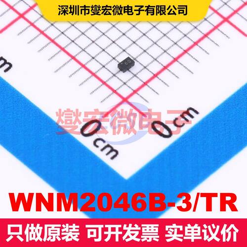WNM2046B-3/TR DFN1006-3L 场效应管 晶体管 分立器件