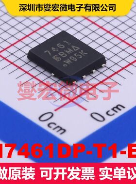 SI7461DP-T1-E3 PowerPAKSO-8 场效应管 晶体管 分立器件