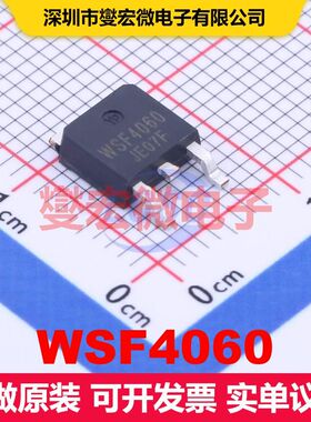 WSF4060 TO-252 场效应管 晶体管 分立器件