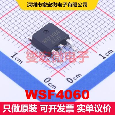 WSF4060 TO-252 场效应管 晶体管 分立器件