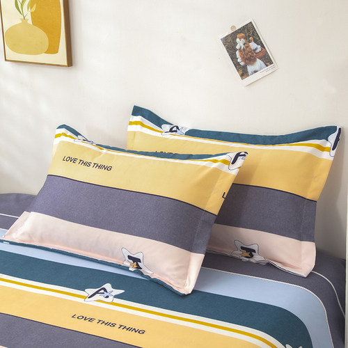 纯棉枕套一对装网红款家用加厚