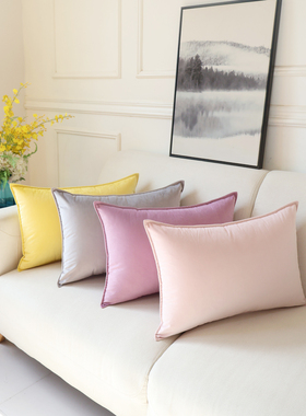 天鹅绒超柔抱枕套简约纯色大靠背客厅沙发腰靠垫套长方形靠枕定制