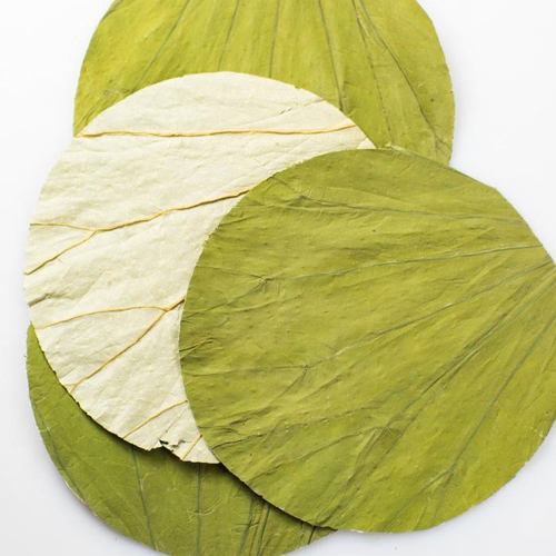 干荷叶片圆形切片裁剪蒸饭竹筒饭
