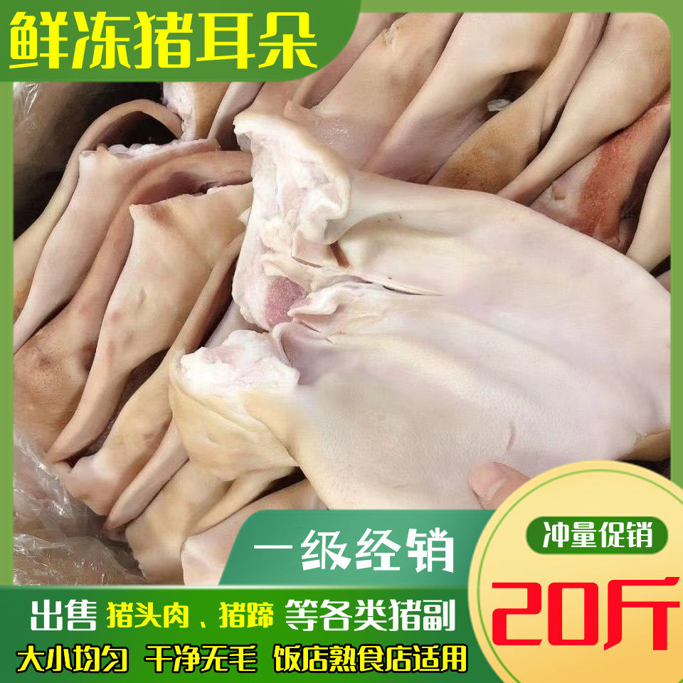 新鲜冷冻猪耳朵 生猪耳 猪耳片 带耳根猪耳 20斤卤菜饭店商用包邮