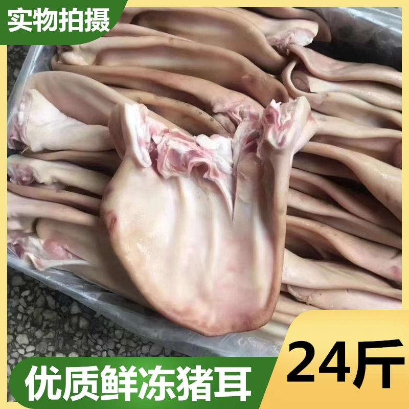 猪耳朵冷冻 猪耳片耳尖生猪耳 带根猪耳朵 20斤 卤菜饭店新鲜包邮