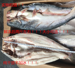 冷冻新鲜开背鱼湄公鱼20斤一件纯干货干冻龙利鱼沙巴鱼近可包邮