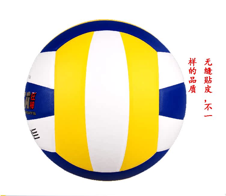 Ballon de volley-ball - Ref 2010057 Image 4