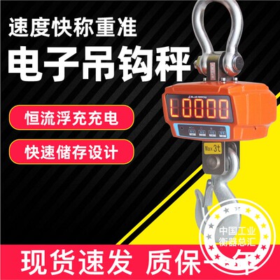 吊钩秤浙江蓝箭直视电子吊秤