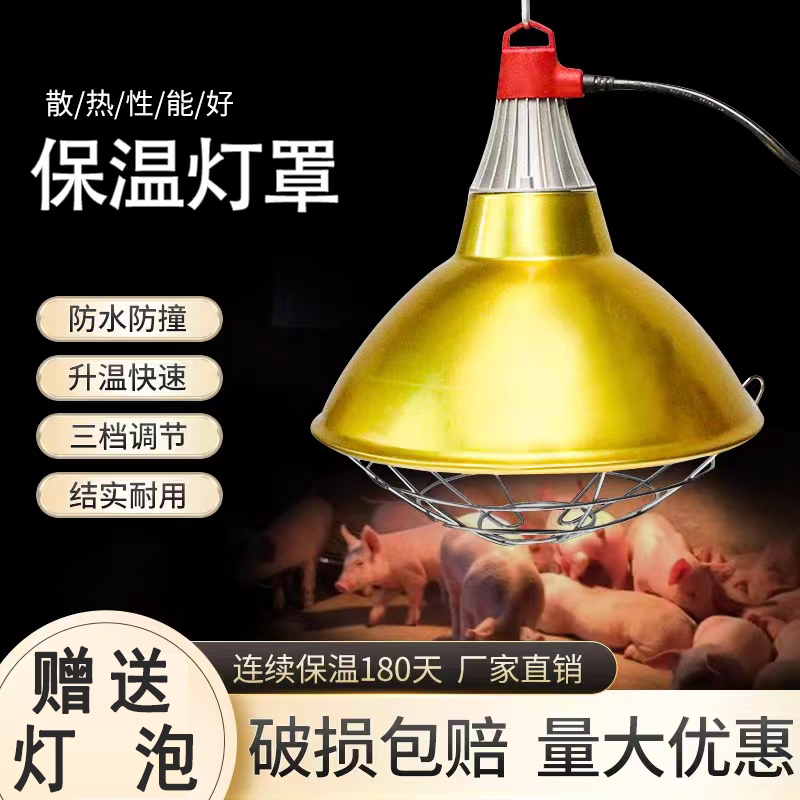 育雏小鸡仔猪保温灯防水大灯罩