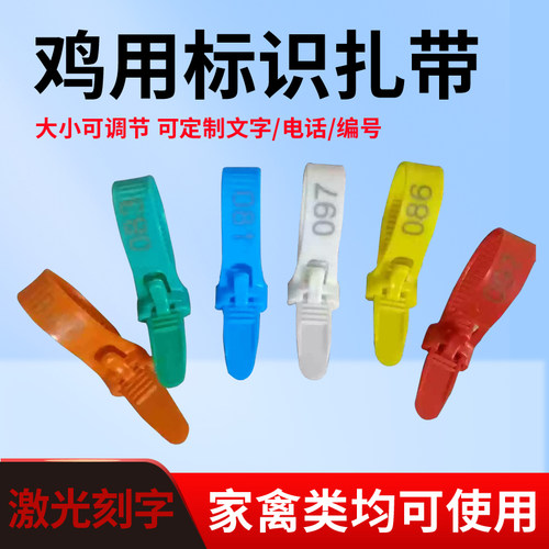 拉链式鸡用标识脚带鸡脚环家禽用绑定式鸡脚环记号重复识别环