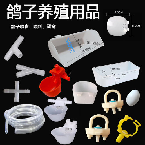 鸽子养殖用品大全各种养殖配件