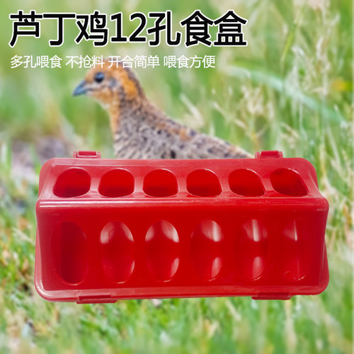 芦丁鸡食槽自动喂食器