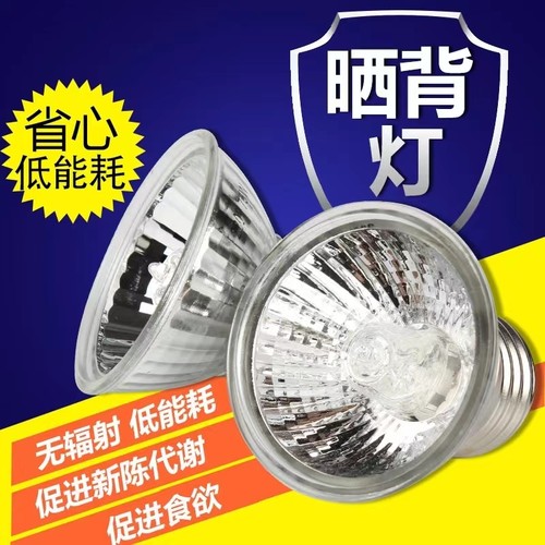小鸡鹦鹉保暖乌龟宠物爬宠