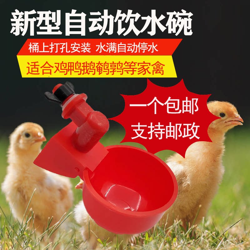 全新自动饮水碗鸡鸭鸽子鹌鹑自动喂水出水喝水碗饮水器雏鸡加厚碗