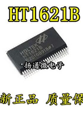 HT1621 HT1621B 贴片 RAM映射 LCD驱动器 液晶芯 SSOP-48