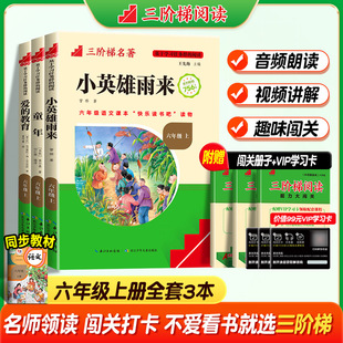 三阶梯阅读六年级上下册快乐读书吧名校课堂爱的教育小英雄雨来童年书全3册童年小学生六年级必读的课外书6年级上下册上学期阅读