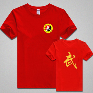 新款纯棉武术训练T恤 儿童成人夏季短袖 跆拳道武术服散打搏击服