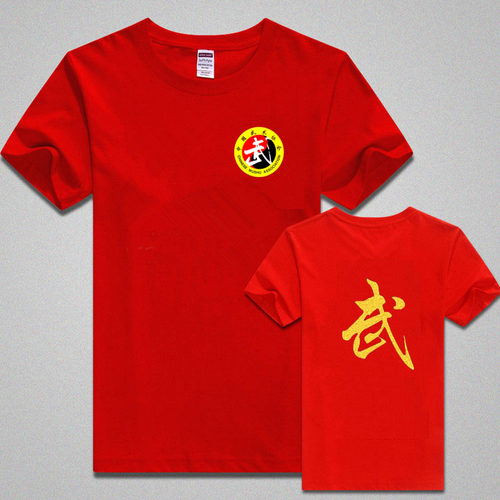 新款纯棉武术训练T恤 儿童成人夏季短袖 跆拳道武术服散打搏击服
