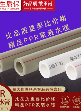 ppr冷热水管4分20自来水管家用热熔管材管件6分25 32 40水管接头