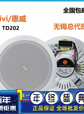 Hivi/惠威TD202定压吸顶式喇叭天花嵌入式音响背景音乐广播音箱