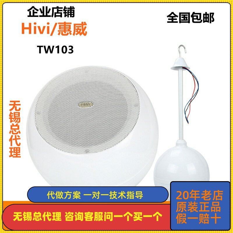 Hivi/惠威 TW103吊球音响咖啡厅背景音乐吊挂音箱定压悬挂式喇叭