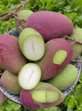 【顺丰圆通】酸芒果生吃酸脆酸野酸青芒果蘸辣椒生芒果