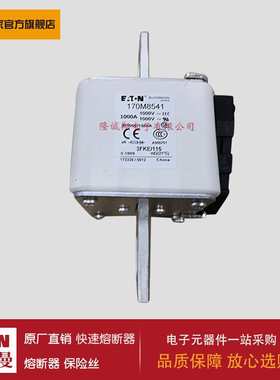 熔断器170M8538 170M8539 170M8540 170M8541 170M8542 170M8543